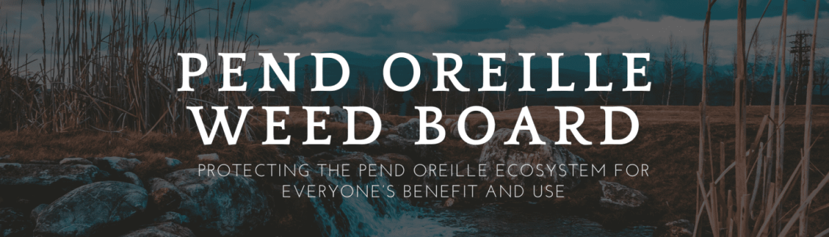 Protecting the Pend Oreille Ecosystem for Everyone's Benefit and Use